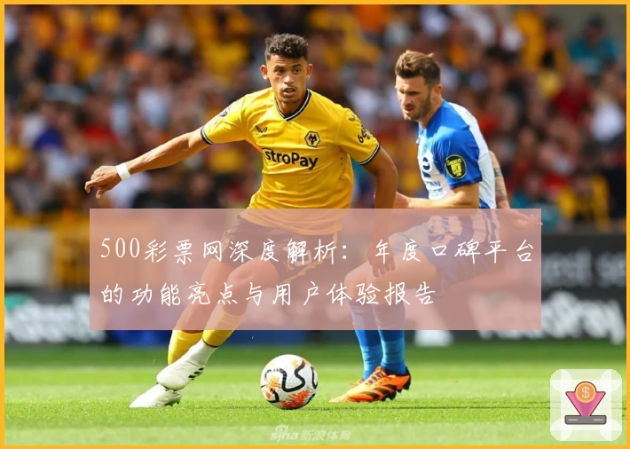 500彩票网深度解析：年度口碑平台的功能亮点与用户体验报告