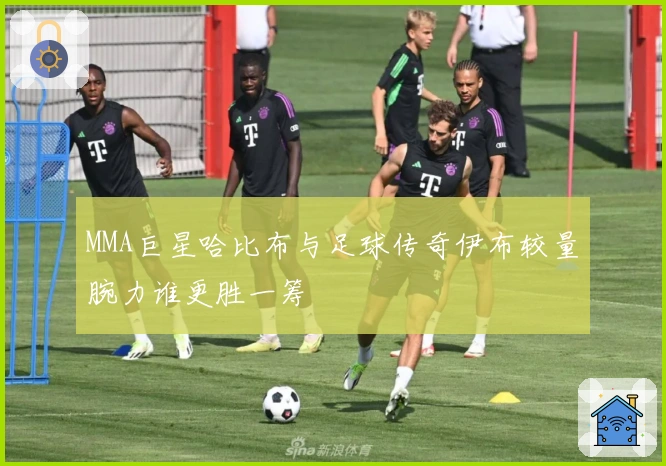 MMA巨星哈比布与足球传奇伊布较量腕力谁更胜一筹